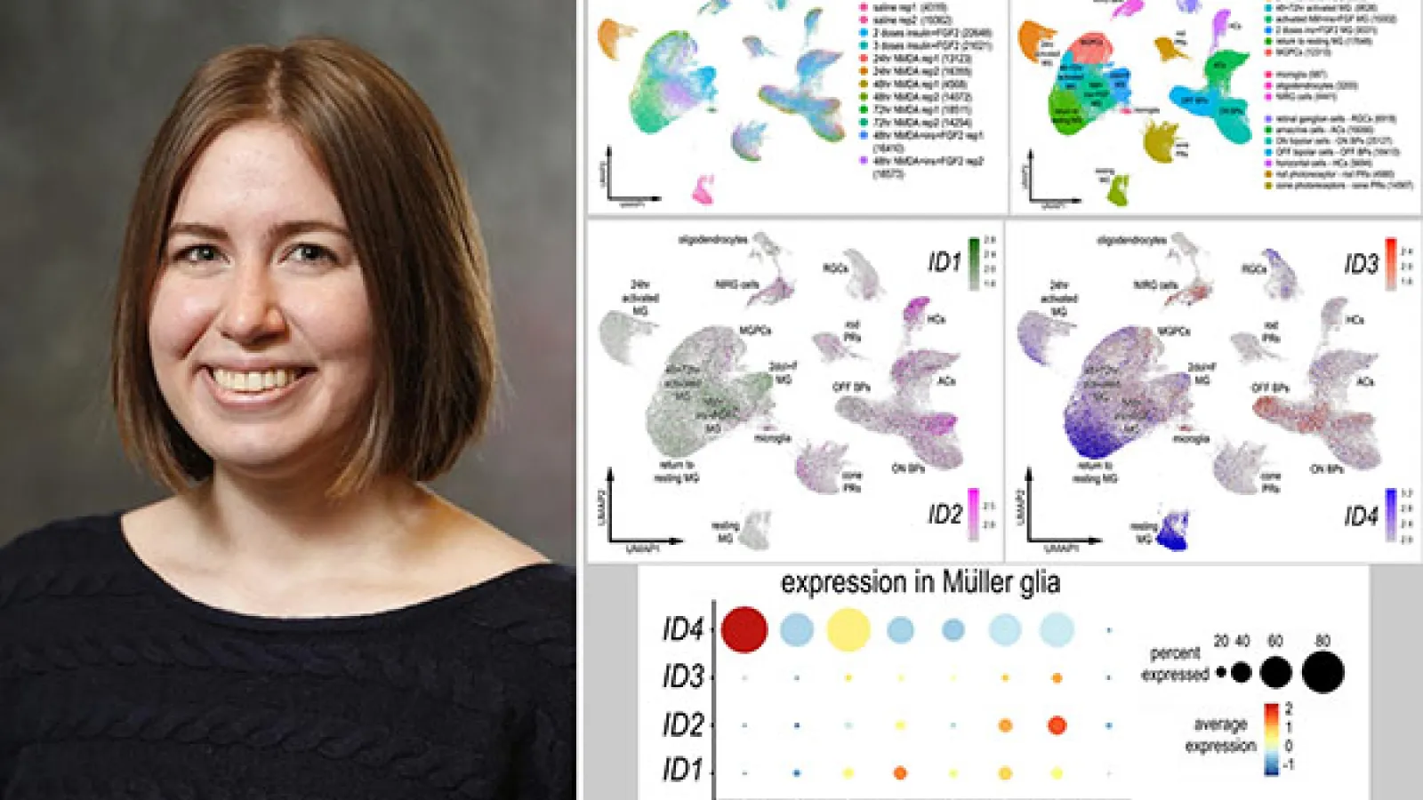 Liv Taylor and data from paper