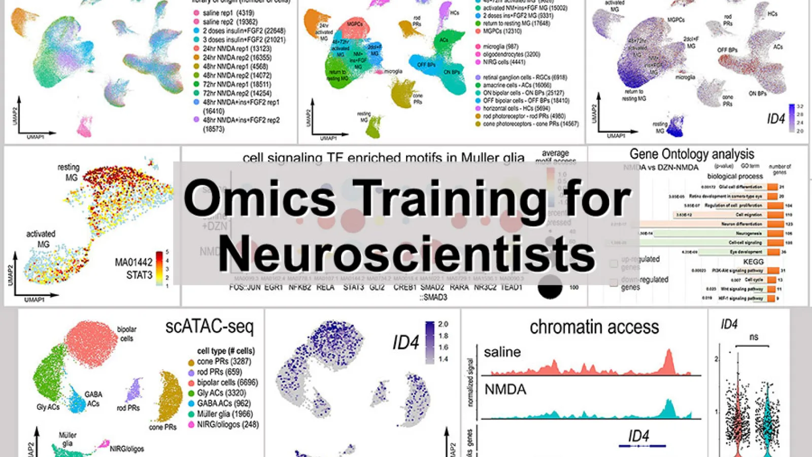 Omics Training for Neuroscientists