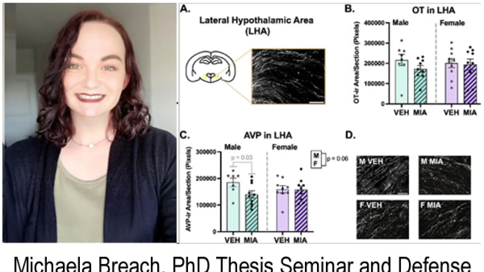 Michaela Breach Thesis Defense April 9 and 11