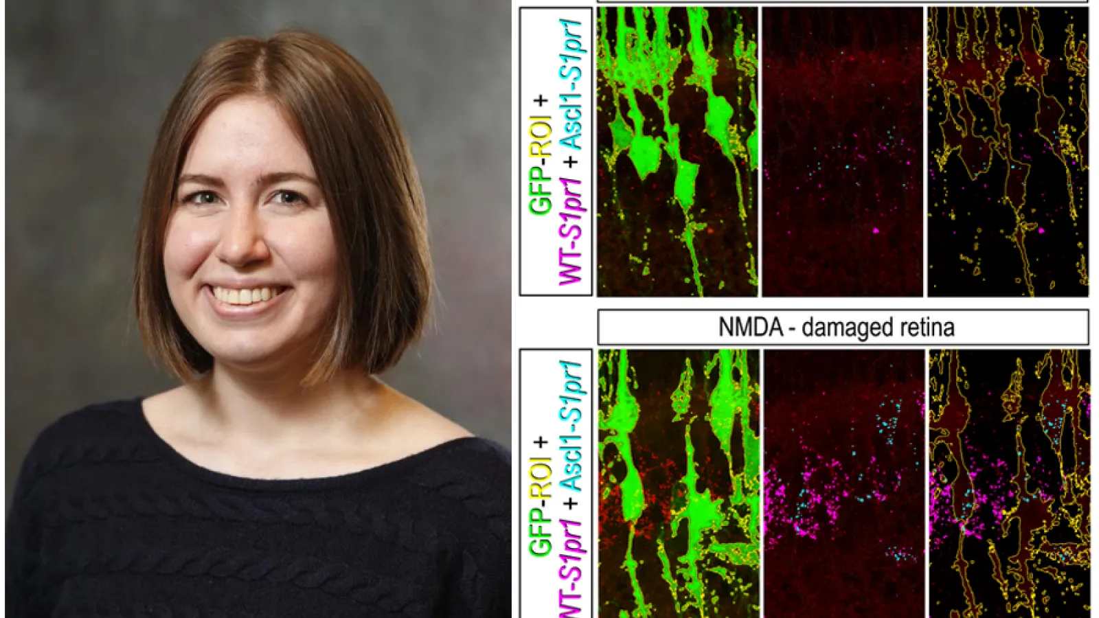 Liv Taylor Nov 2025 J Neurosci
