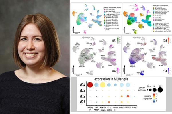Liv Taylor and data from paper