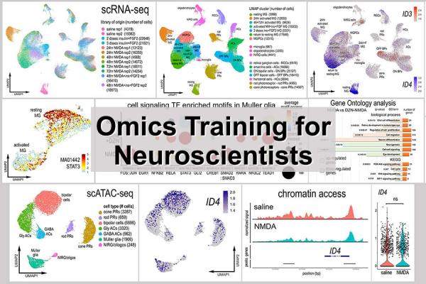 Omics Training for Neuroscientists