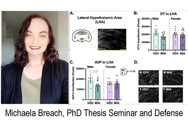 Michaela Breach Thesis Defense April 9 and 11
