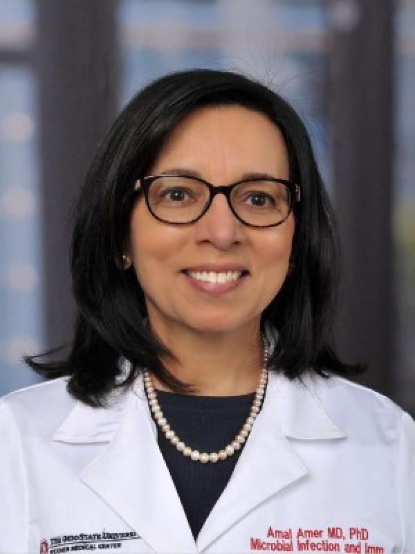 Amal Amer, MD, PhD