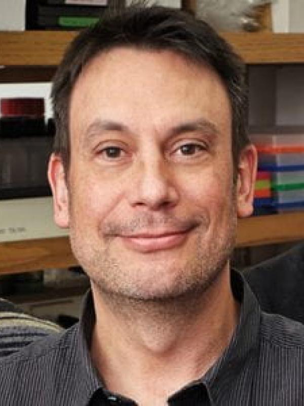 Dr. Fischer