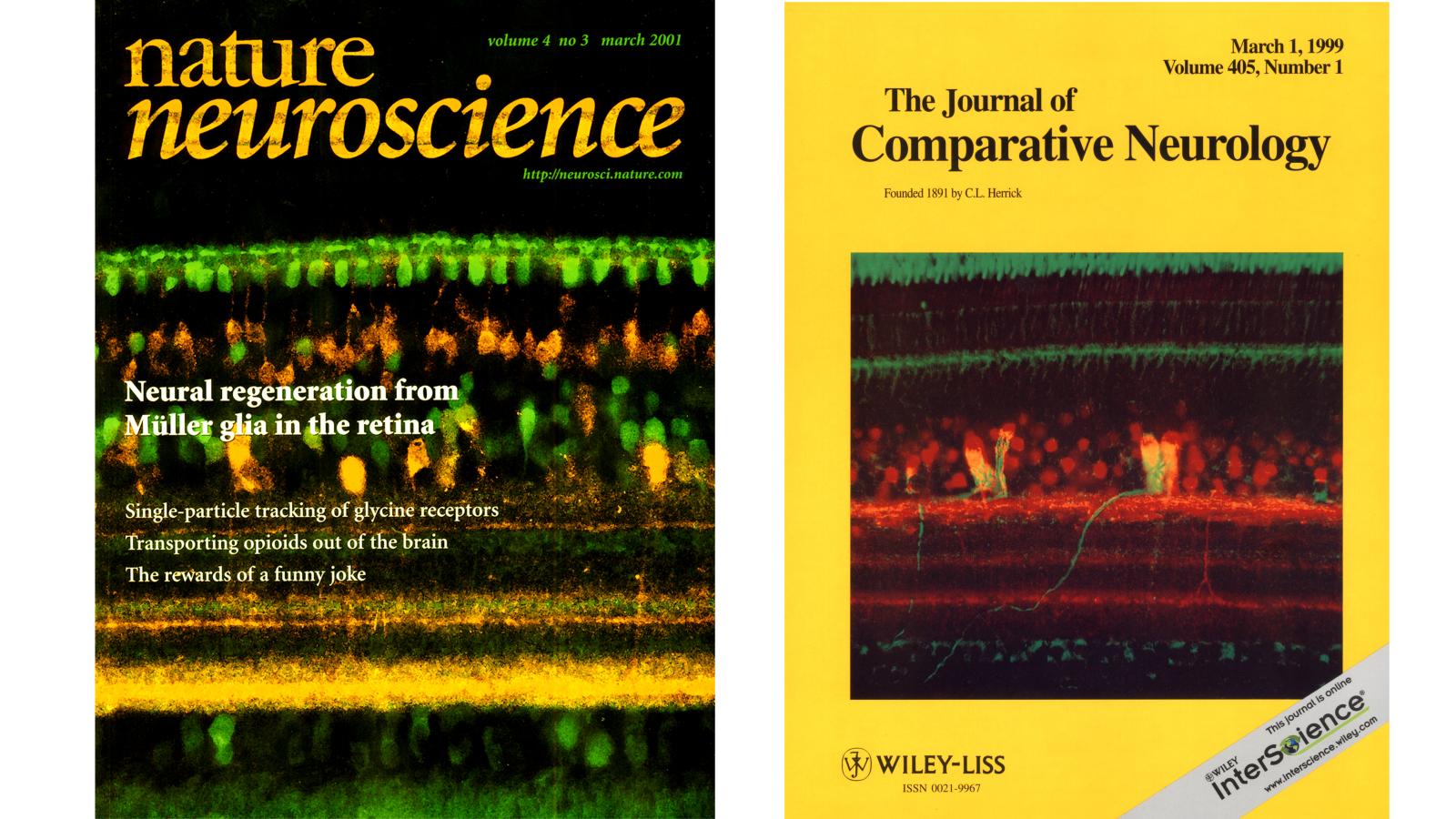 Cover Illustrations