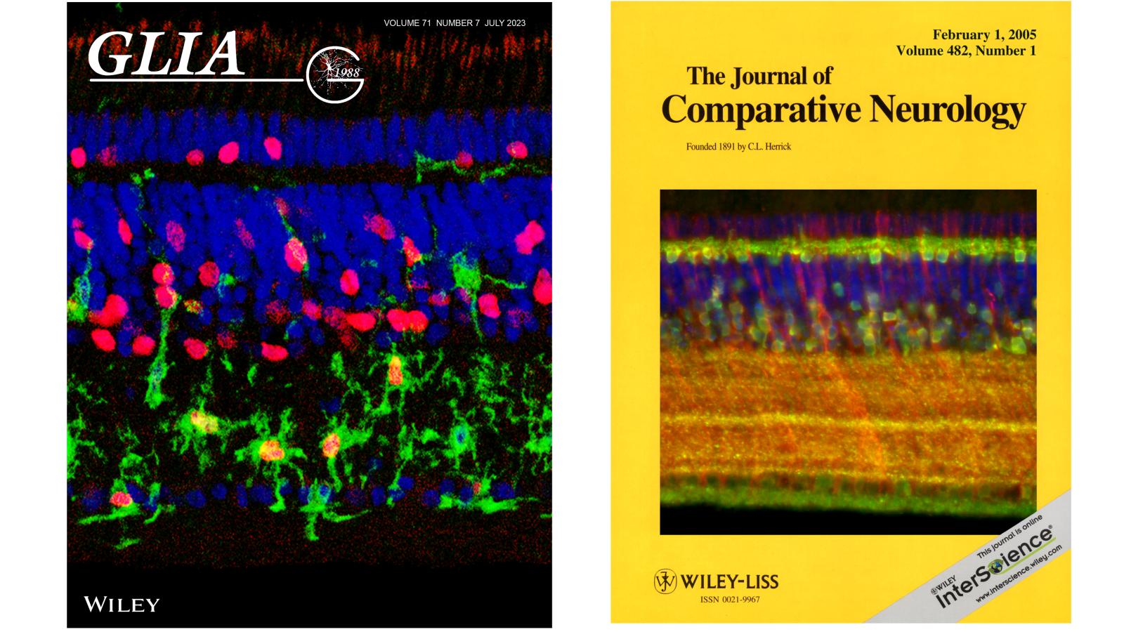 Cover Illustrations