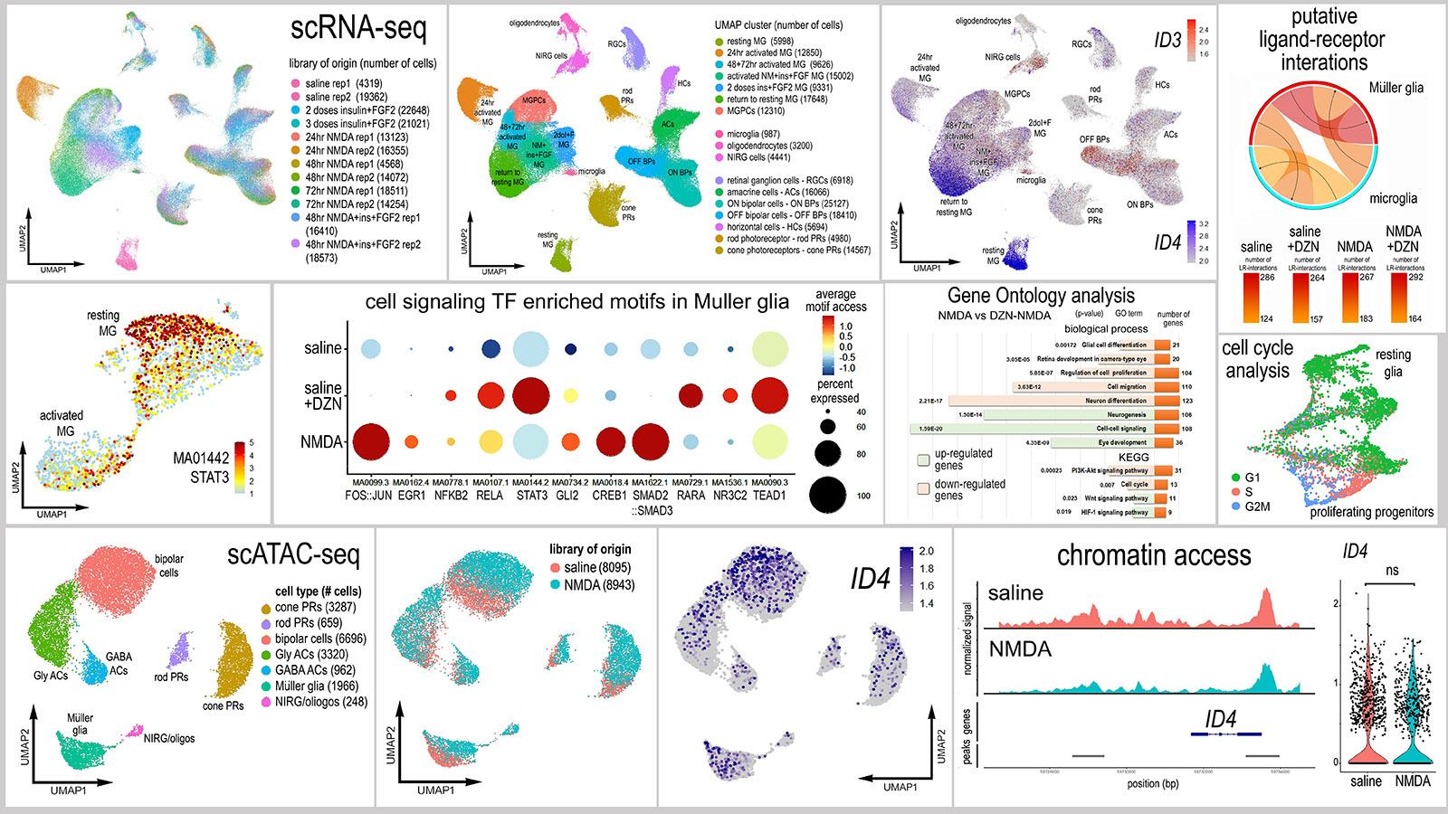 single cell omics 